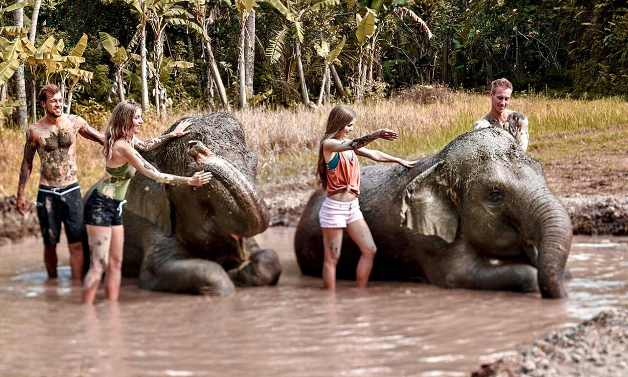 elephant-mud-fun